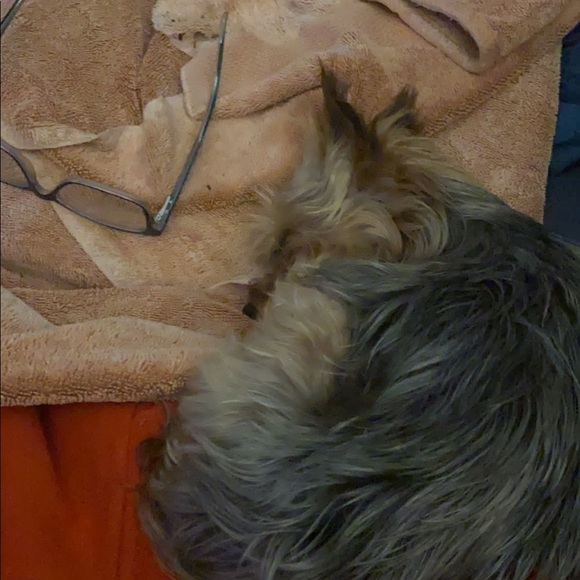 Meet your Posher, Donavyn - Picture 1 of 1